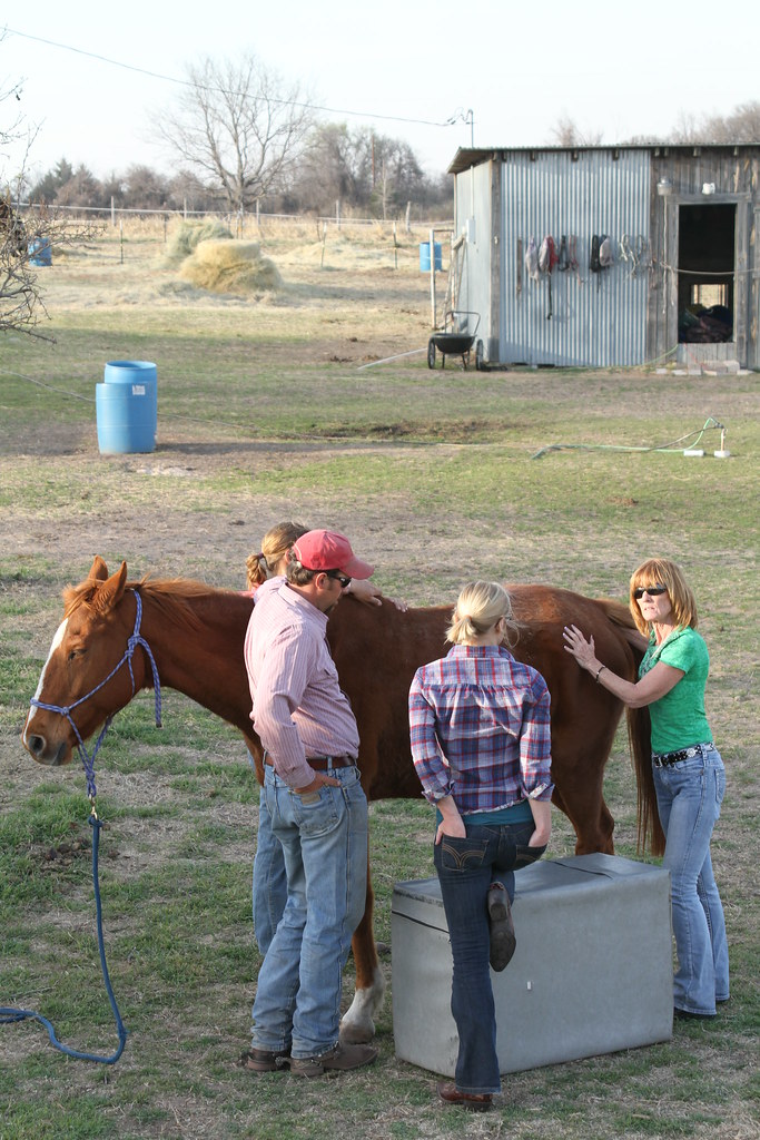 RM Performance Horses Texas A week spent with Maddy and … Flickr