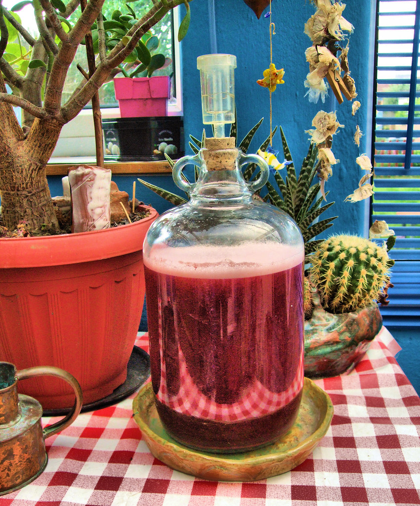 Fermenting Strawberry Wine. Jim Linwood Flickr