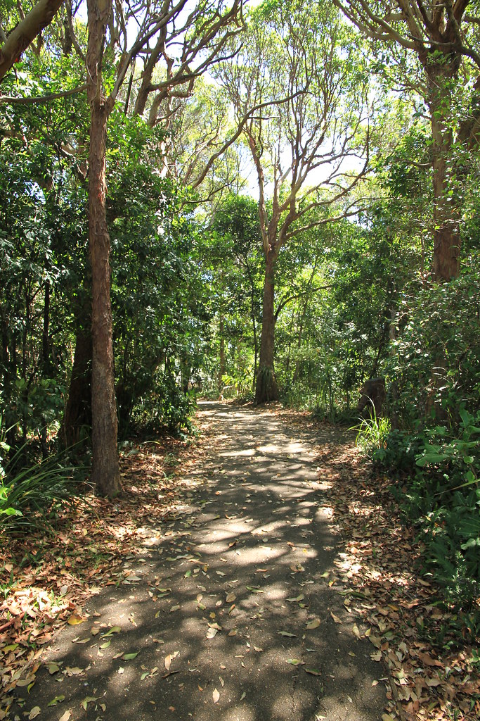 Harry's Lookout Port Macquarie Taken Aus Day Alaine Ylias Flickr