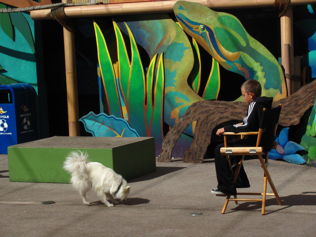 Universal's Animal Actors Show at Universal Studios Flickr