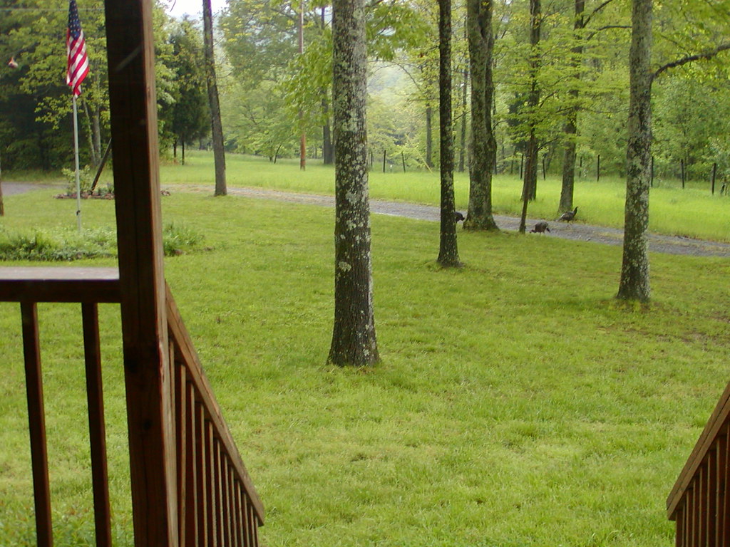 turkey18 Yellow Creek Outfitters Flickr