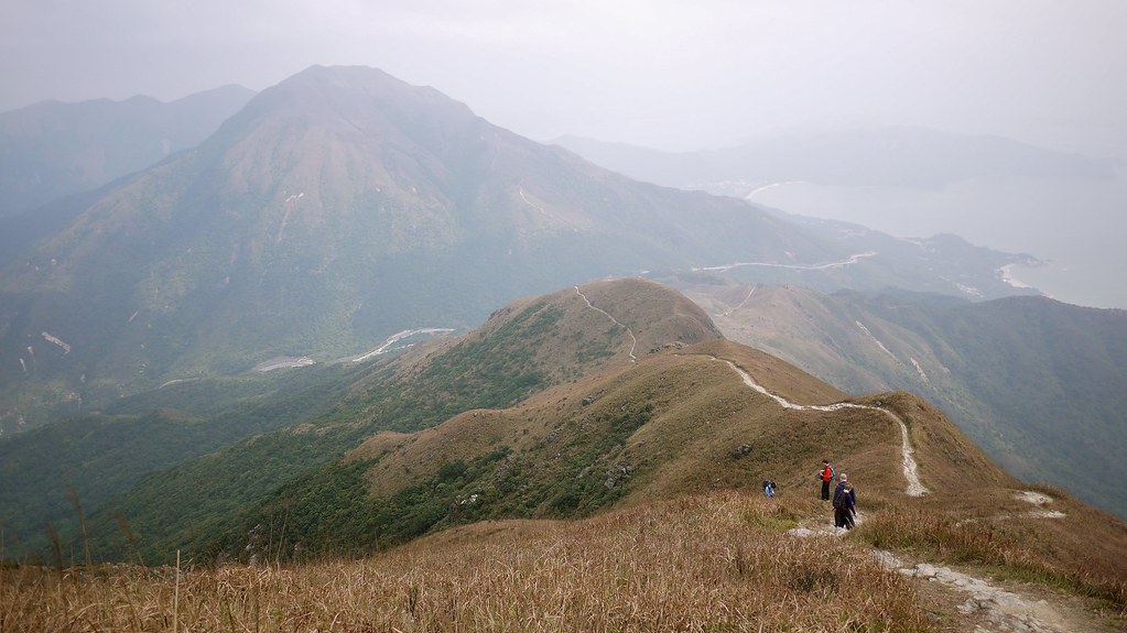 The Long Road David Flickr