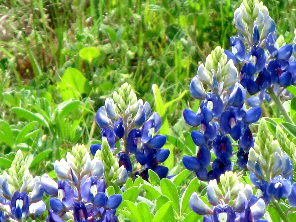 First My first sighting of Andreanna Moya