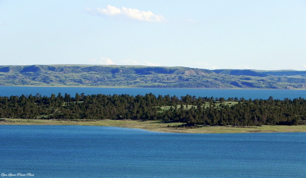 The Pines at Fort Peck Lake, Montana The Pines at Fort Pec… Flickr