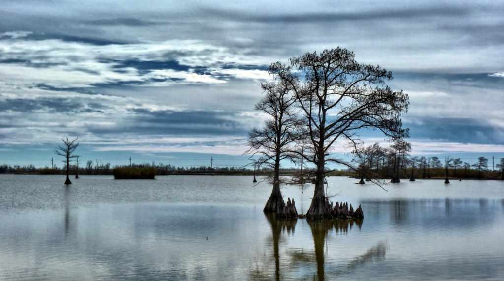 Louisiana Coast Florian Wölbeling Flickr