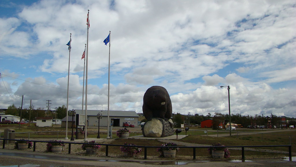 018 Alberta Beaverlodge Giant Beaver Sculpure 15 ft … Flickr