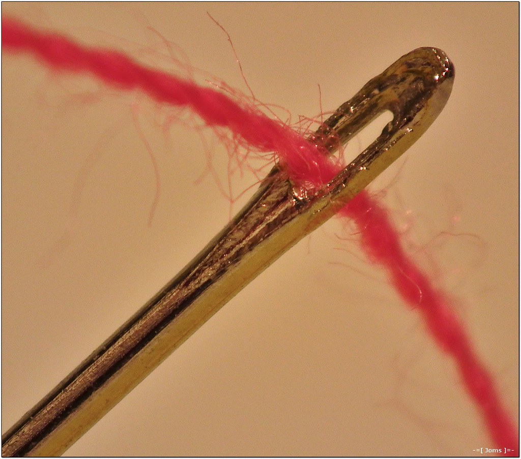 Threading a tiny needle is very easy... Look at that! With… Flickr