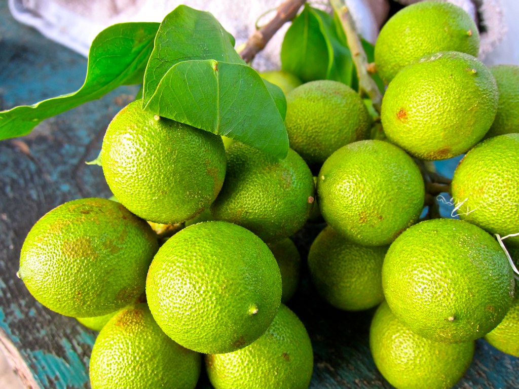 Ackee fruit St. Lucian style Meghan Telpner Flickr