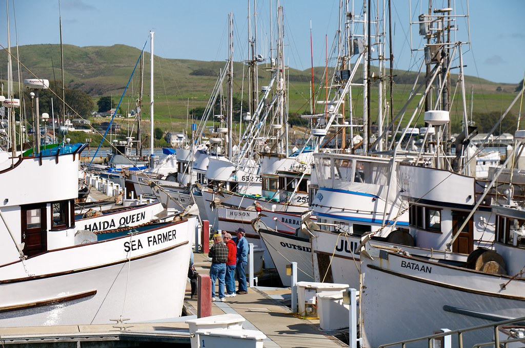 Boats in Bodega Bay Harbor Don DeBold Flickr