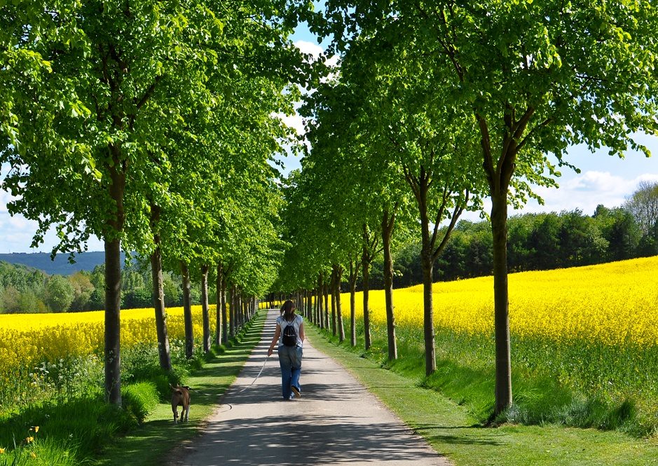 Dalton Bank 02 May (22 of 22) Simon Flickr