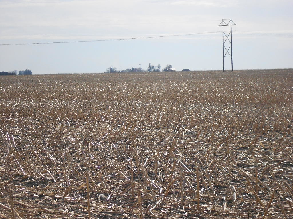 south saturday 042 Johanna Flickr