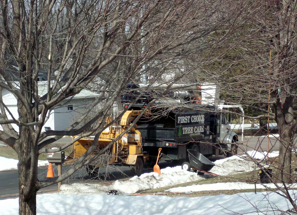 First Choice Tree Care In Marshfield, Wisconsin. Mark Flickr