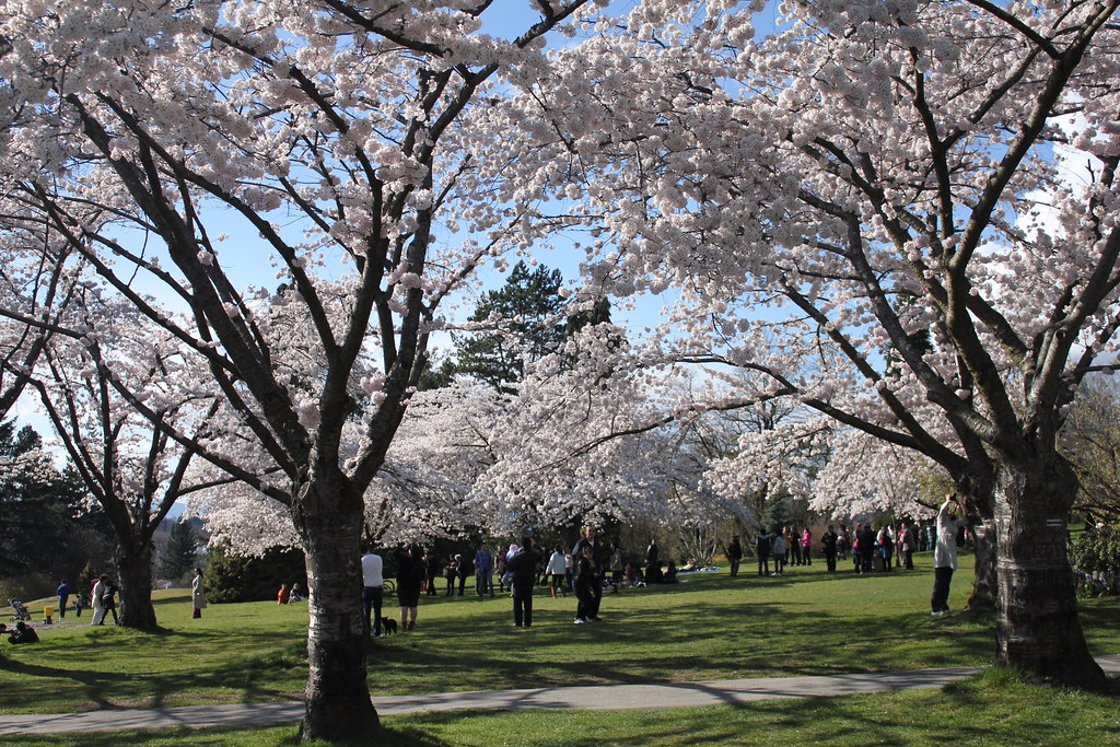 Queen Elizabeth Park GoToVan Flickr