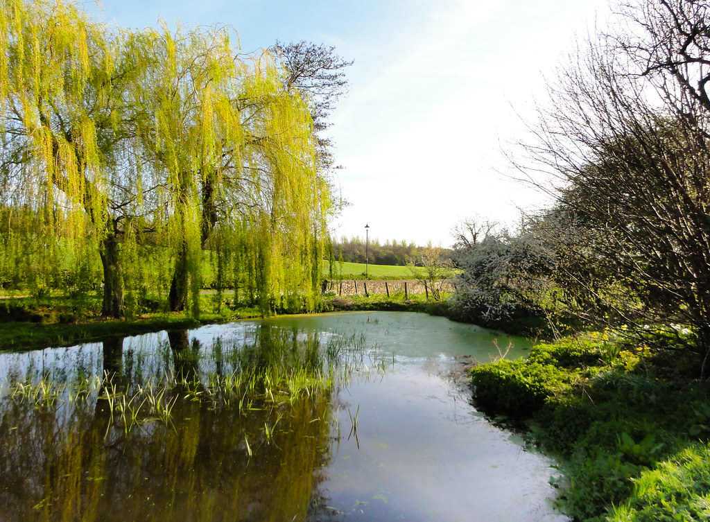 Village pond Stainton South Yorkshire Mick Carver Flickr