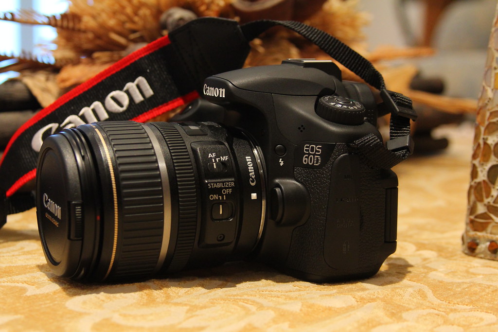 canon 60d with 1785mm lens by canon 60d with 28135mm Flickr