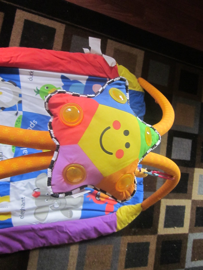 BABY EINSTEIN PLAY MAT Baby einstein floor play mat Flickr