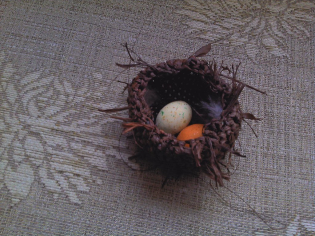 Crocheted bird's nest 1 Crocheted raffia bird'snest, line… Flickr