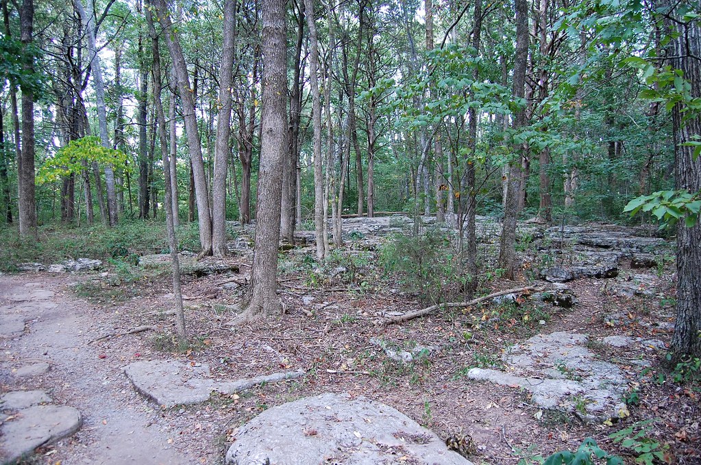 The Slaughter Pen Stones River National Battlefield Greg Peterson
