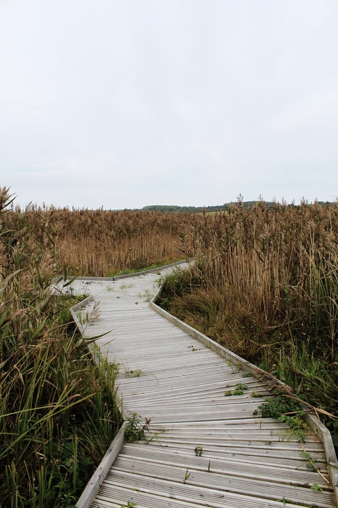 Capel Coch, Anglesey, September 2009 R G Matthews Flickr