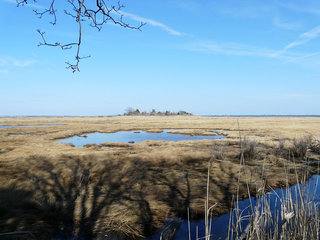 Shelter Cove Shelter Cove in Toms River, New Jersey 2271… Shawn