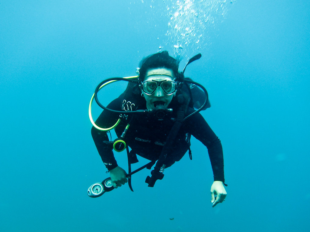 20110418 Aruba Scuba Diving at Antilla & Pedernalis Flickr