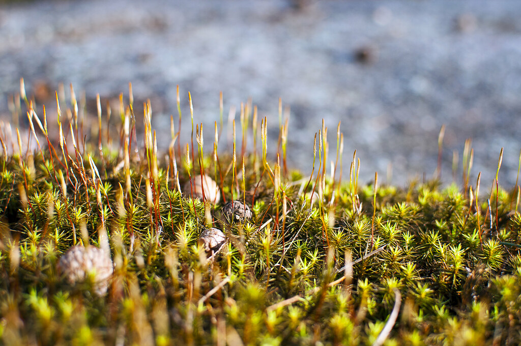 Elevation of 42 Fowler Rd, Northbridge, MA, USA Topographic Map