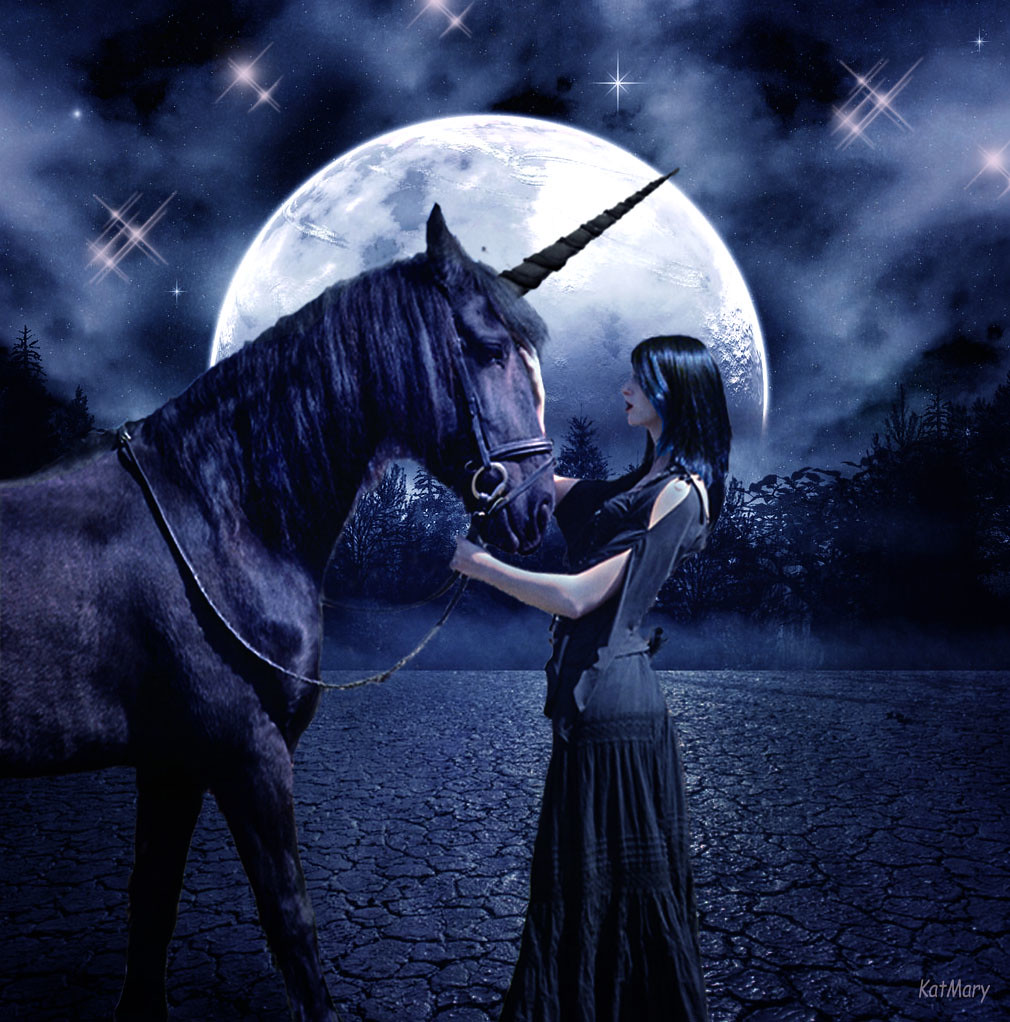The black unicorn Created for dA Stock Users Gallery Chall… Flickr