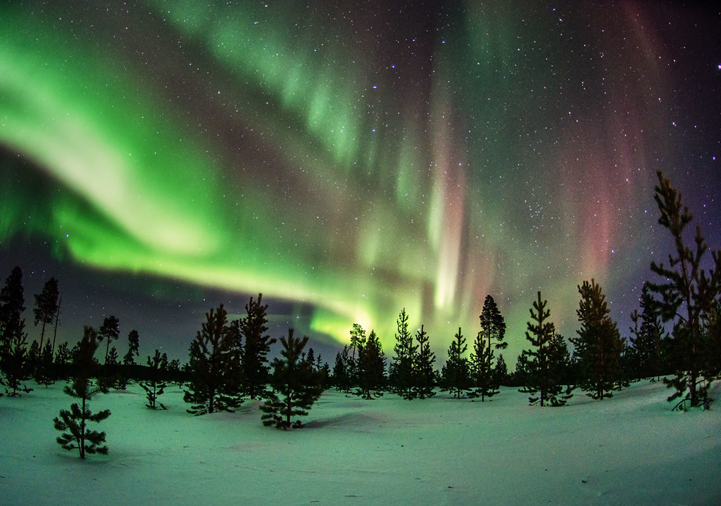 lappi Lapland, Finland, february 2015 You can follow me on… Flickr