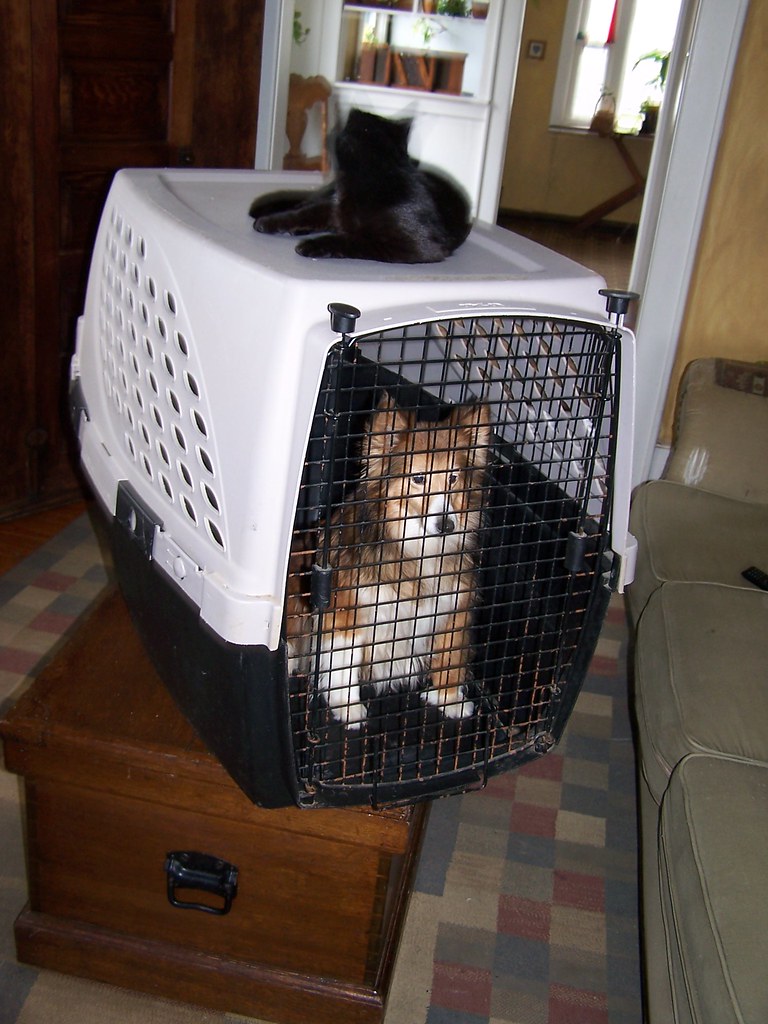 Dog crate n2n brand Large dog crate, 25Hx18Wx36L...good