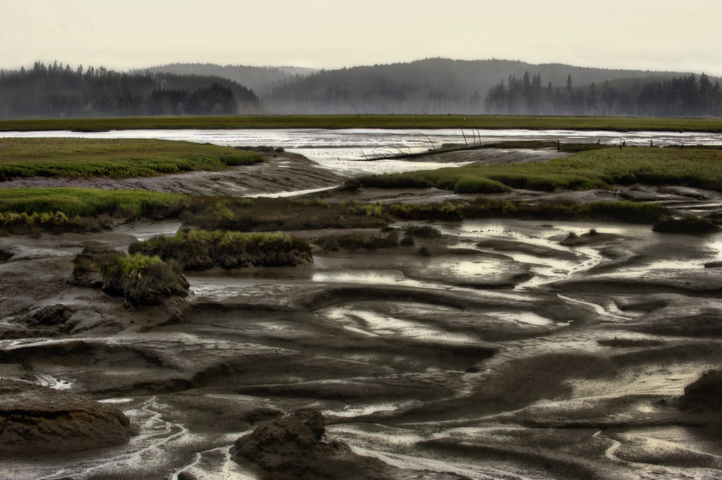 low tide, willapa bay jody miller Flickr