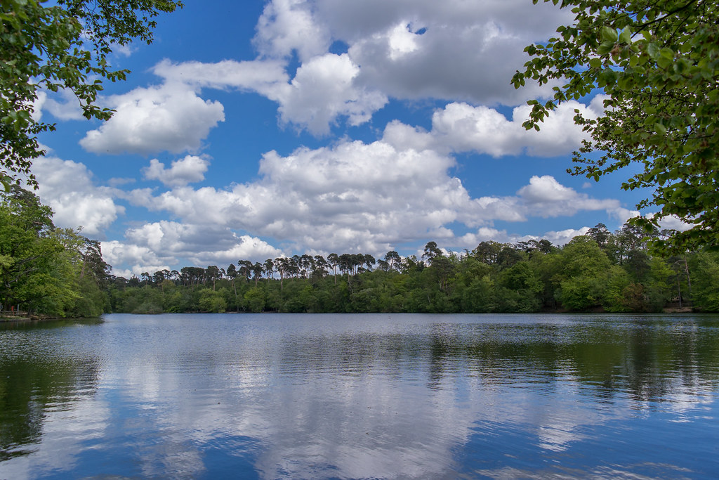 SAM_0411 Black Park giannis_ch Flickr