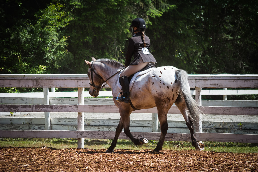 DSC_0046 Vancouver Island Appaloosa Club Horse Show Amy.Equine Flickr