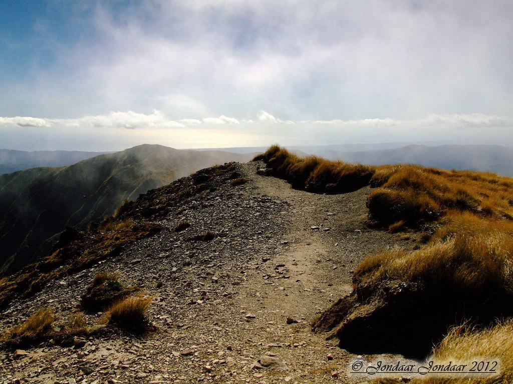 Mount Hector Summit, Tararua Ranges, New Zealand This pict… Flickr