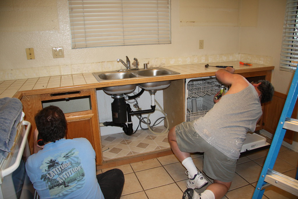 Taking Out the Dishwasher janlichterman Flickr