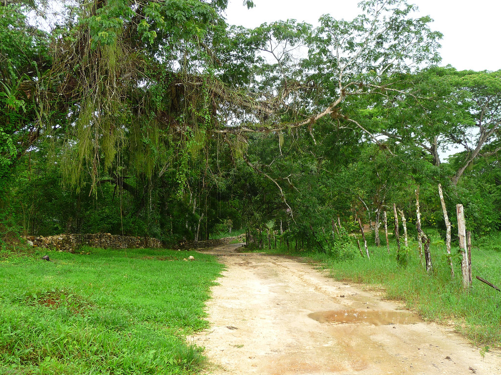 Dirt Road, Good Hope Plantation, Jamaica Good Hope Plantat… Flickr