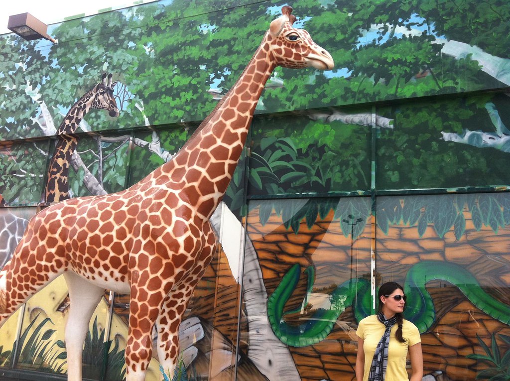 Safari Land in Villa Park, IL Jay Delaney Flickr