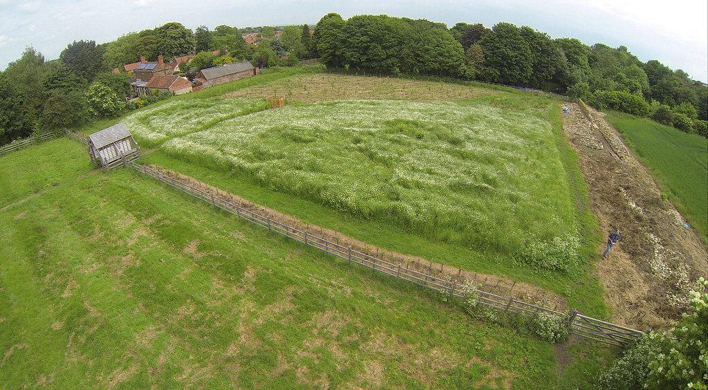 Nettleham Meadow G0011566 Nettleham Meado… Flickr