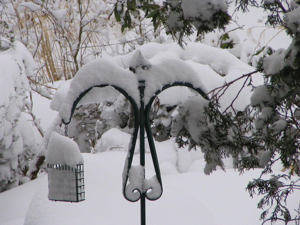 SnowLynleyFeb20064 birdcage covereed with snow Flickr