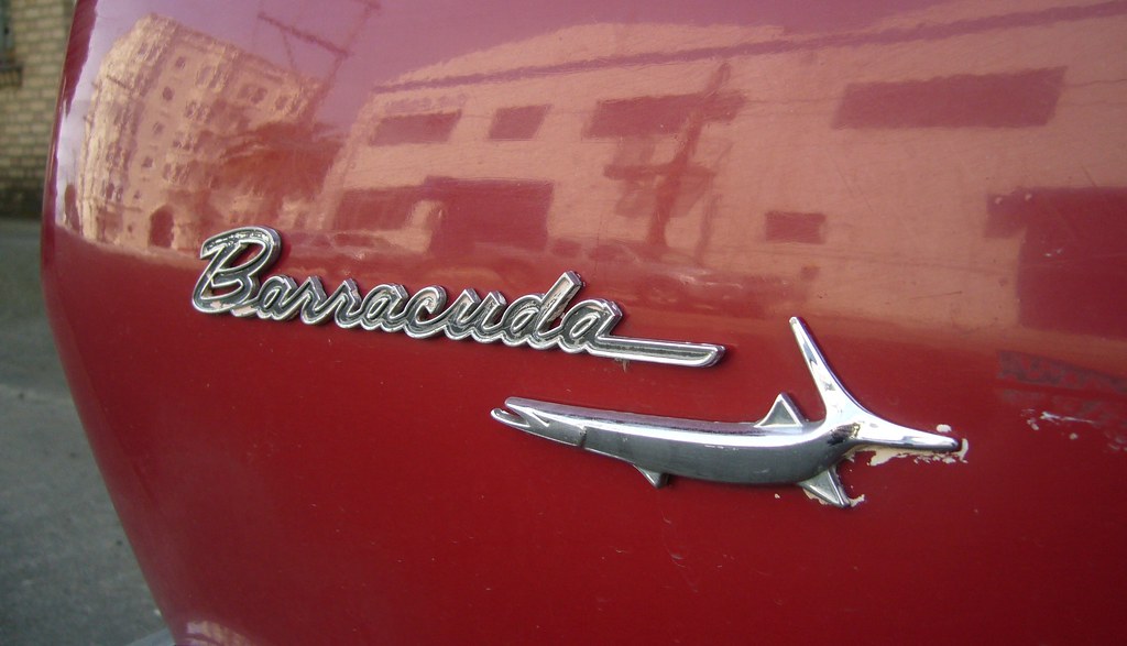 Barracuda Plymouth Barracuda convertible in the Lower Haig… Flickr