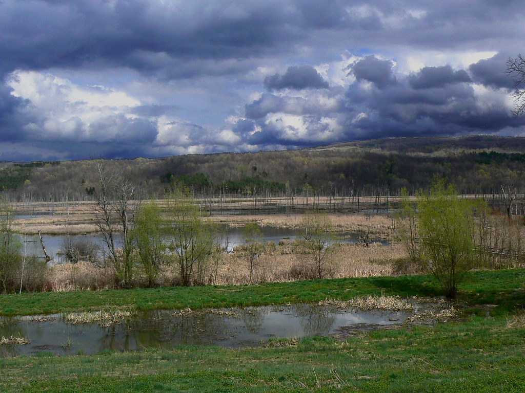 Conesus Lake inlet NY At the south end of Conesus Lake, NY… Flickr