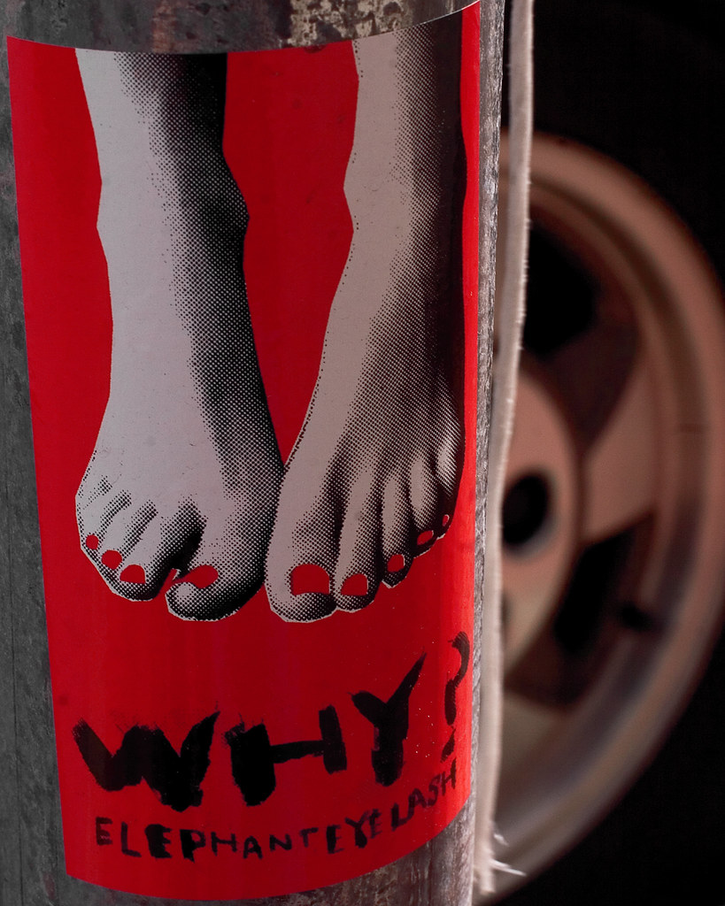 Why? Elephant Eyelash Why? I would also like to know. Flickr