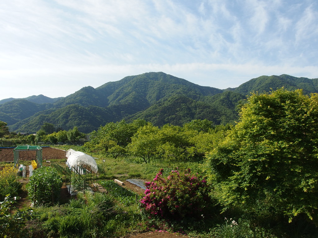Hike to Mount Takahata and Mount Kuratake Otsuki Flickr