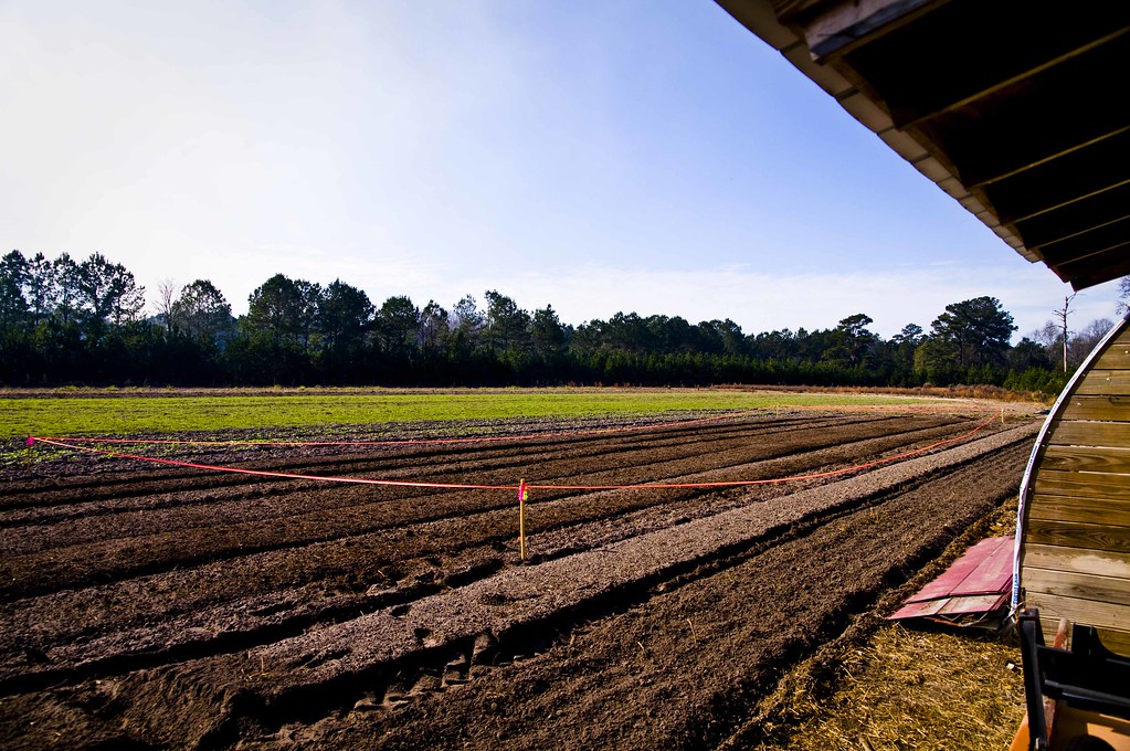 Brant Family Farm 2 For a story to be posted today, watch … Flickr