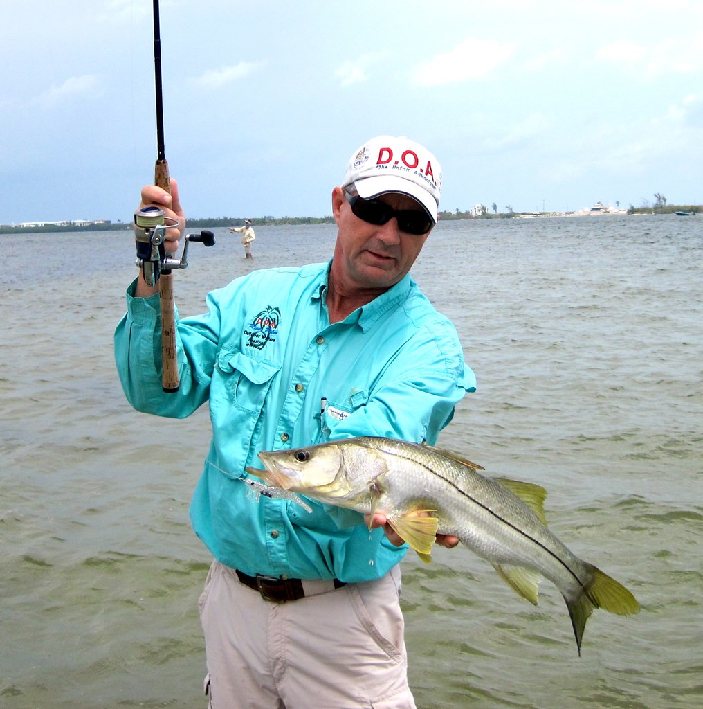 Baby snook on 382 holographic shrimp. Baby snook on 382 ho… Flickr
