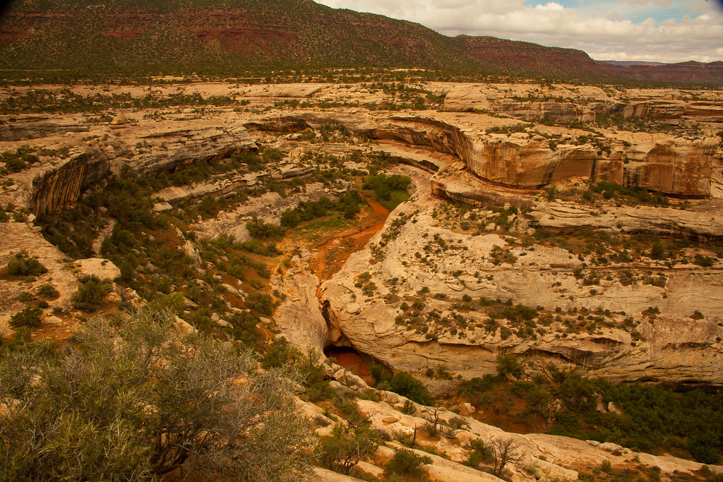 Natural Bridges Took a trip to Natural Bridges National Mo… Flickr