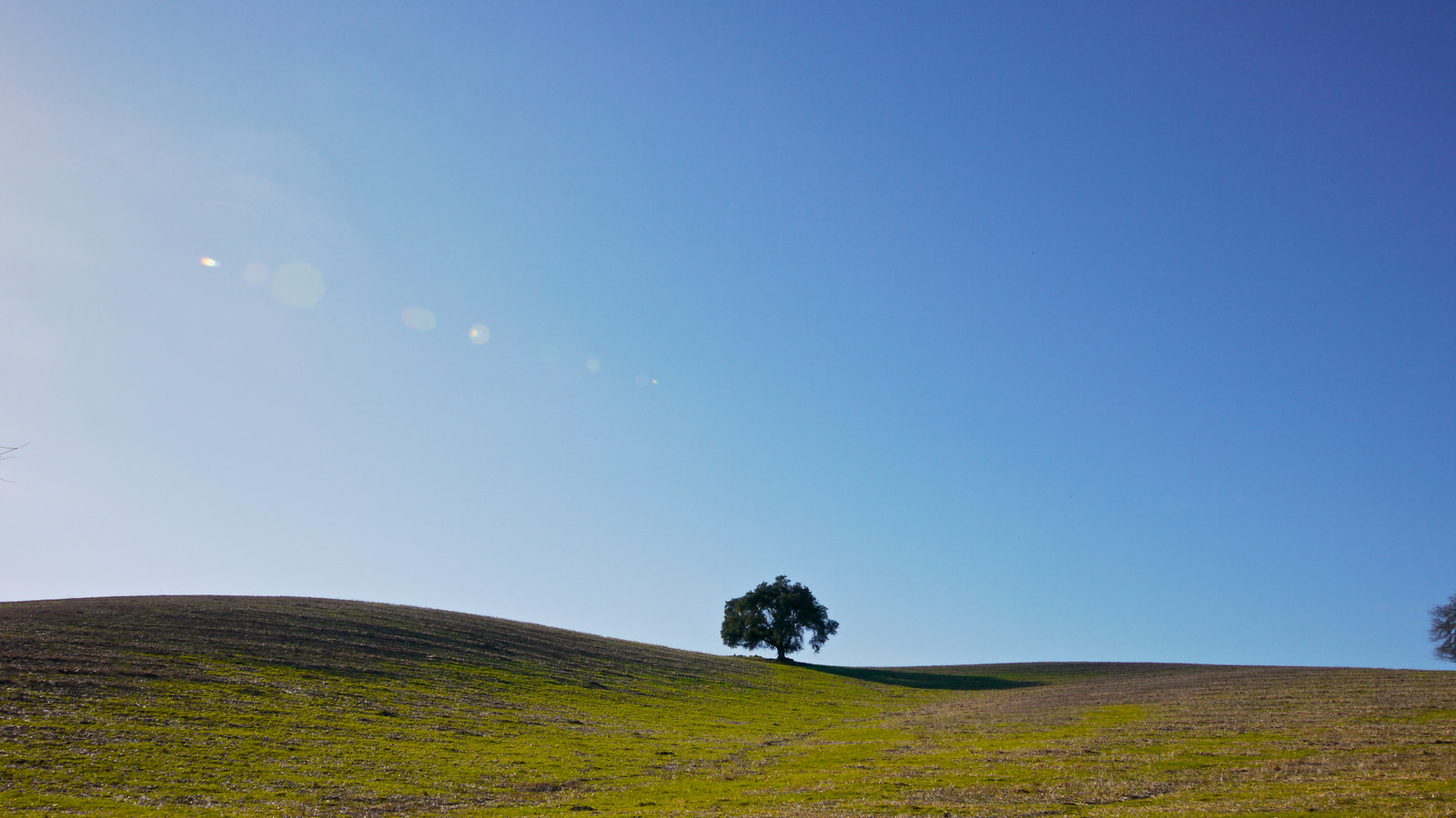 Paso Robles Bike Tour Flickr