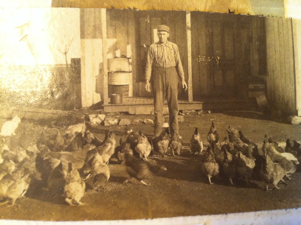 Grandpa Rogers 1905 on the chicken farm in Erick, OK Flickr