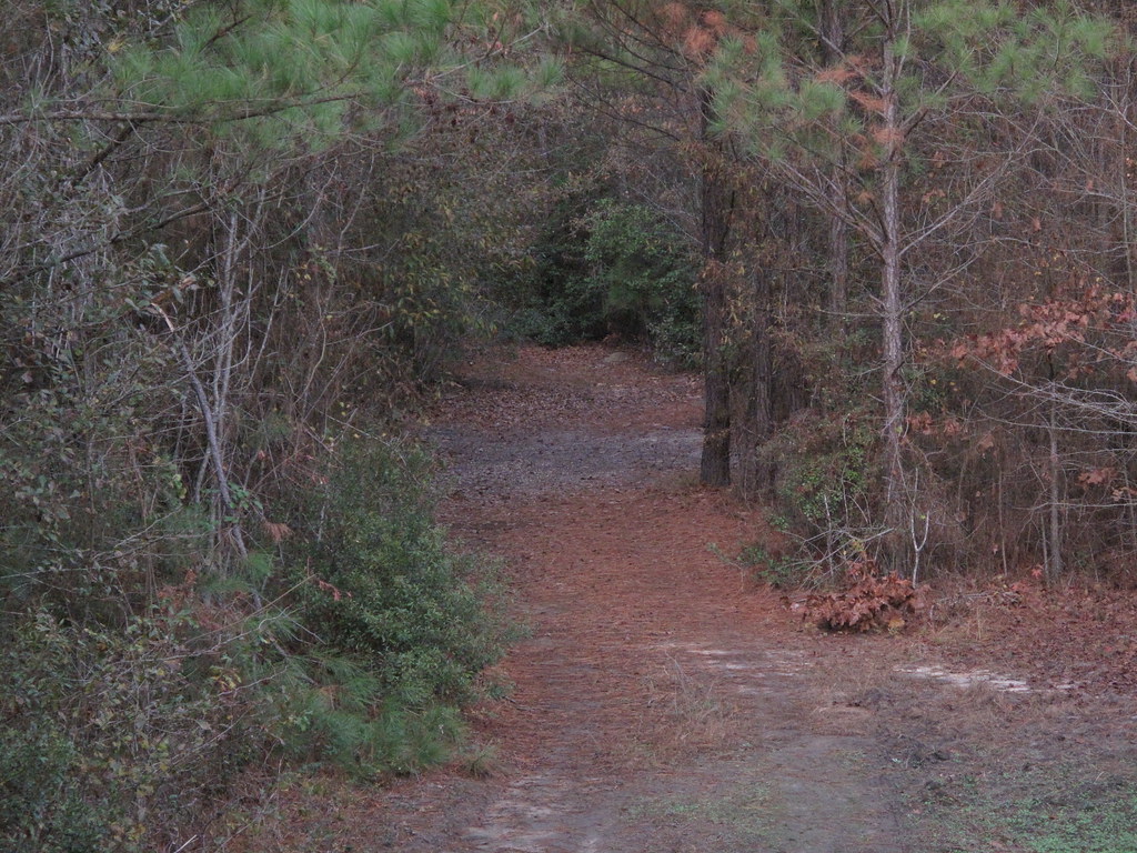 view from stand Cooks Mountain Hunt Club Flickr