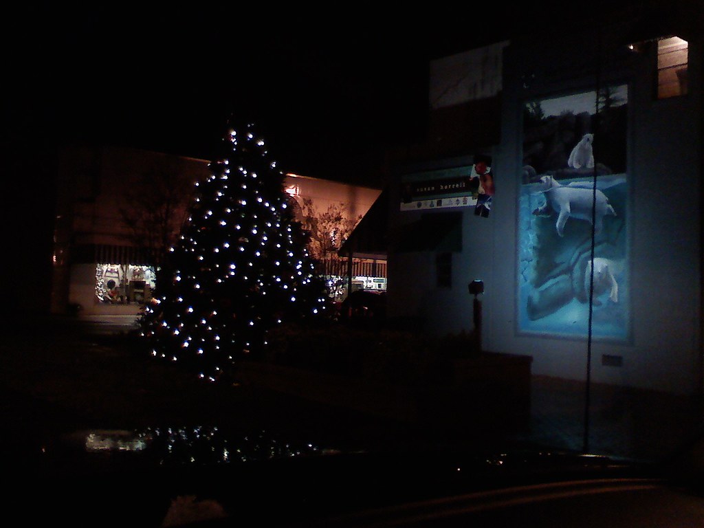 NC Randolph County Asheboro Christmas Lights Shot on… Flickr