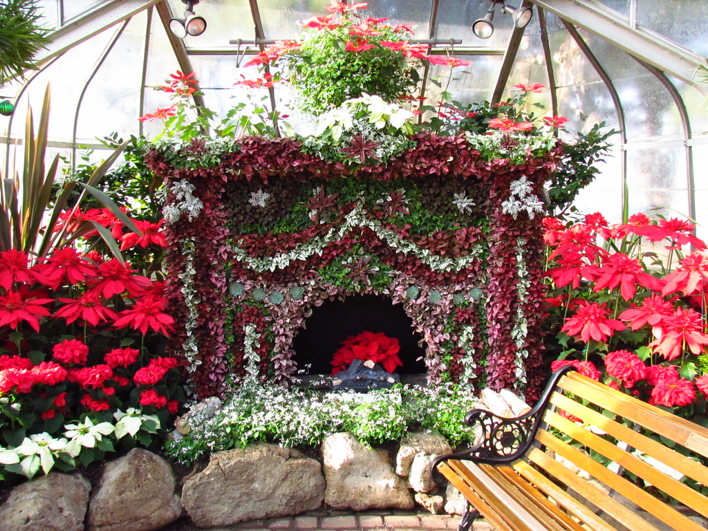 Christmas, Centennial Conservatory, Etobicoke, Toronto, ON… Flickr